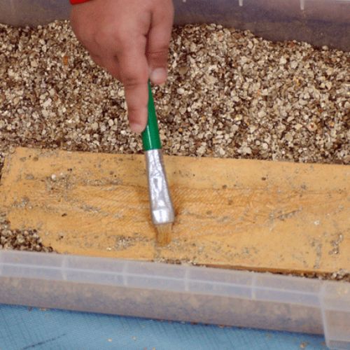 Dinosaur Workshop – Bumblebee Class​​​​​​​​​​​​​​​​​​​​​