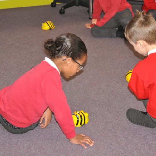 Bumblebee Class used Bee-bots and Ipads in their Computing lesson.​​​​​​​​​​​​​​​​​​​​​
