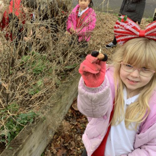 Mole Class – Planting bulbs​​​​​​​​​​​​​​​​​​​​​