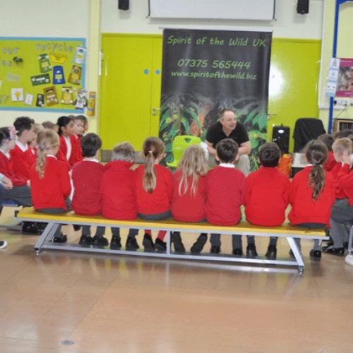 Spirit of the Wild workshop – Mole Class​​​​​​​​​​​​​​​​​​​​​