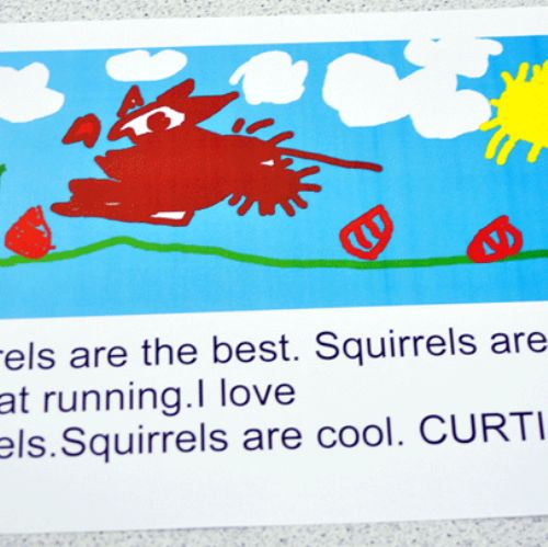 Squirrel Class animal pictures