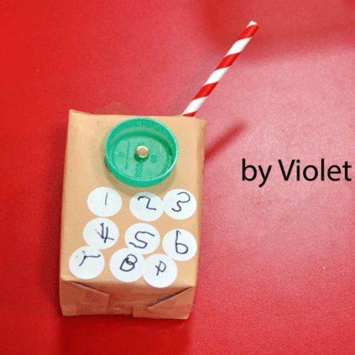 Woodpeckers – Wednesday 25 June